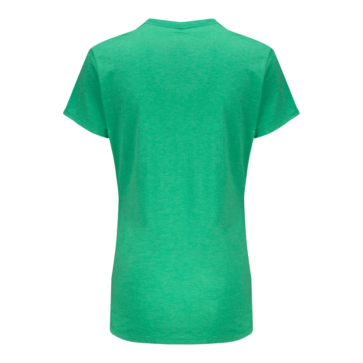 Ahead 2026 PGA Championship Women's Aronimink Logo T-Shirt in Green - Back View